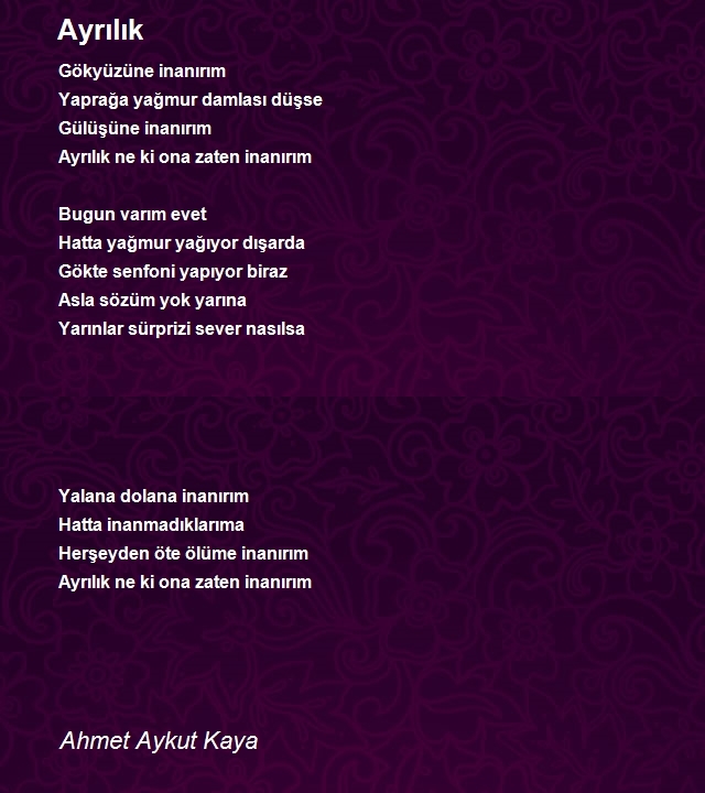 Ahmet Aykut Kaya