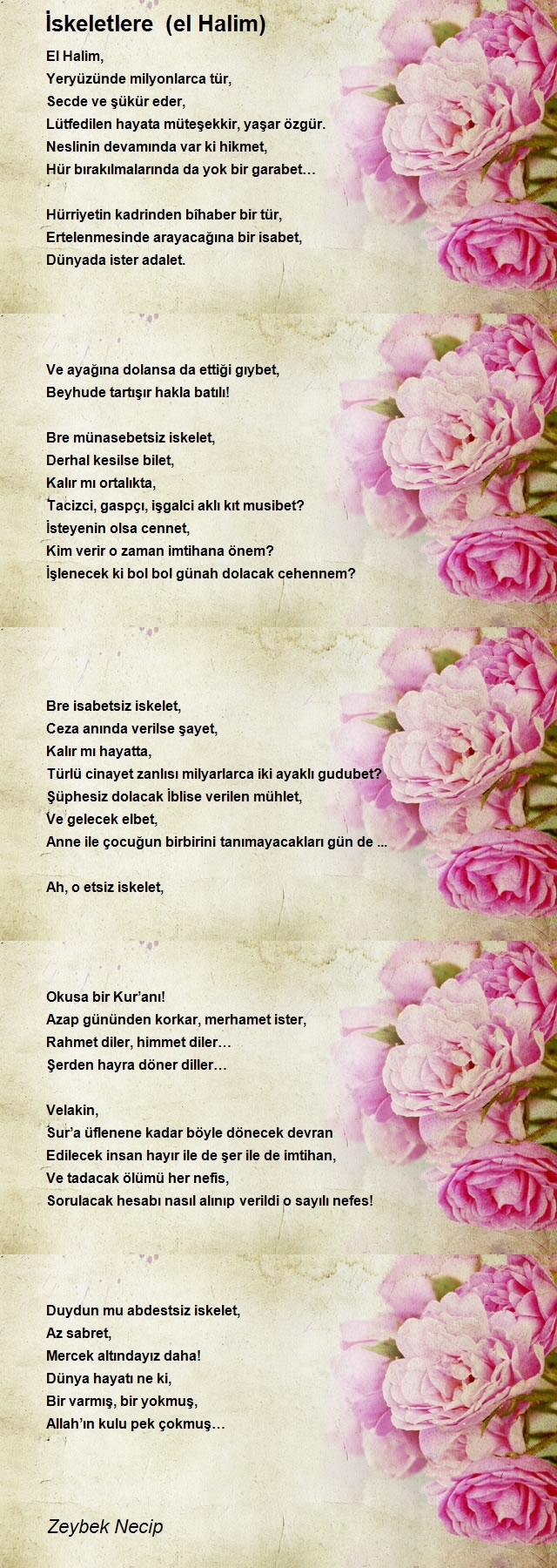 Zeybek Necip