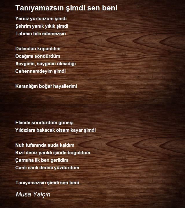 Musa Yalçın