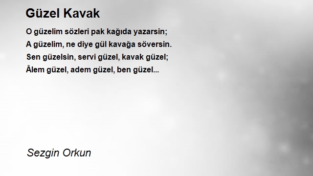 Sezgin Orkun