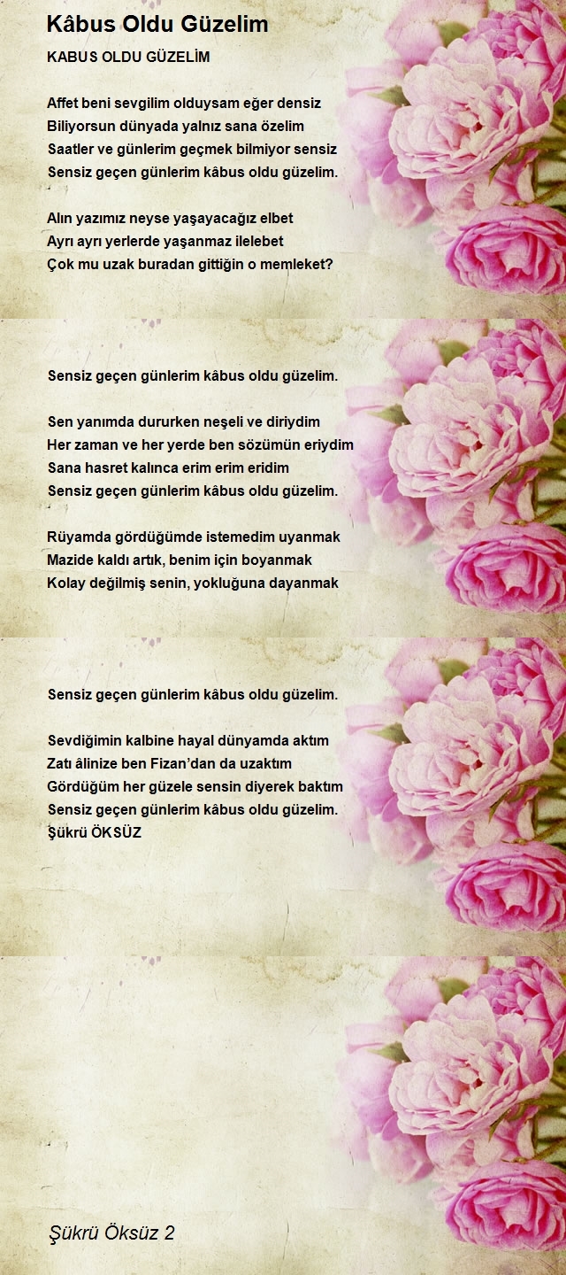 Şükrü Öksüz 2