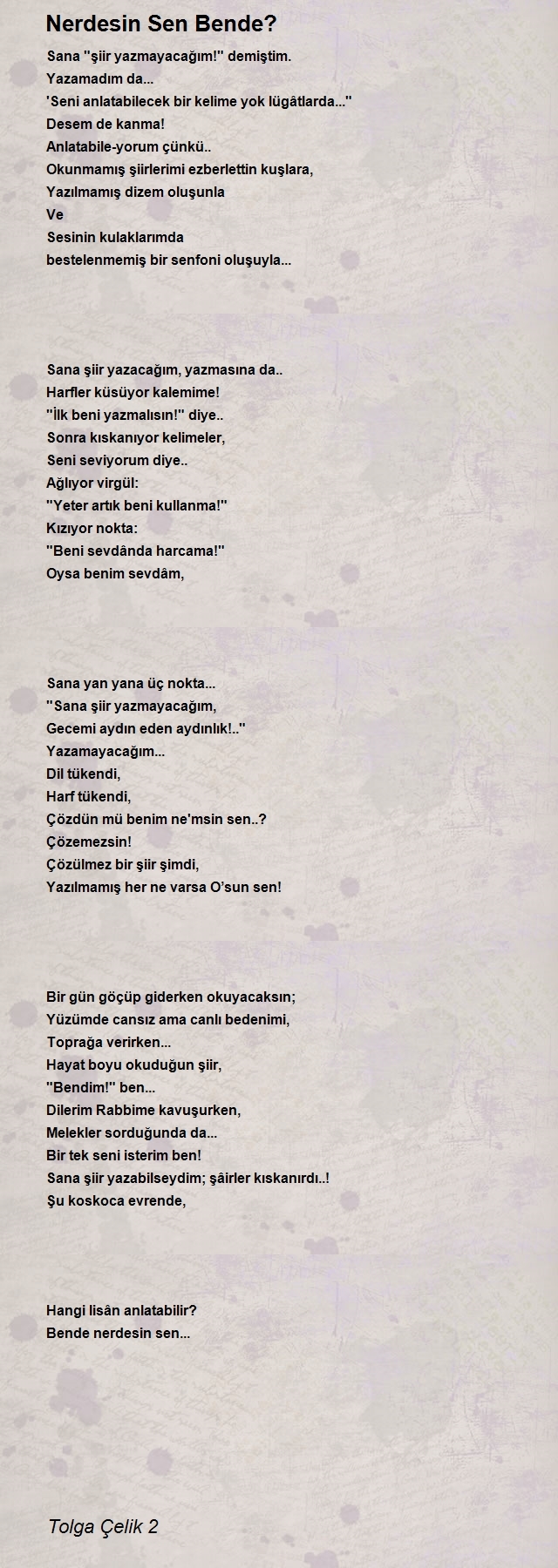 Tolga Çelik 2