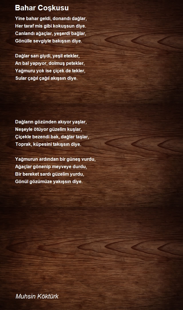 Muhsin Köktürk