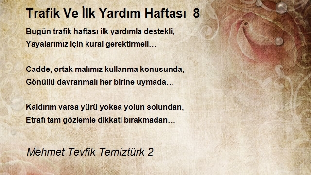 Mehmet Tevfik Temiztürk 2