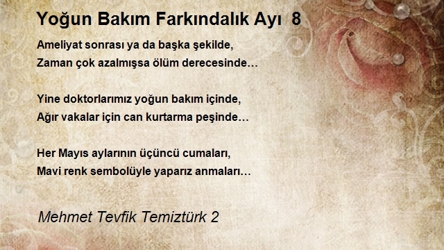 Mehmet Tevfik Temiztürk 2