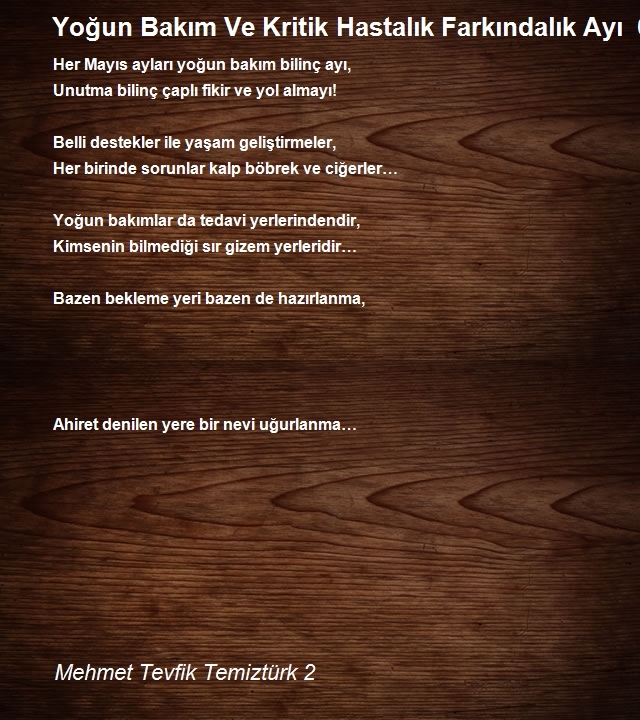 Mehmet Tevfik Temiztürk 2
