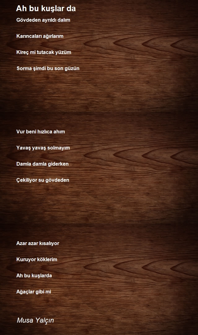 Musa Yalçın