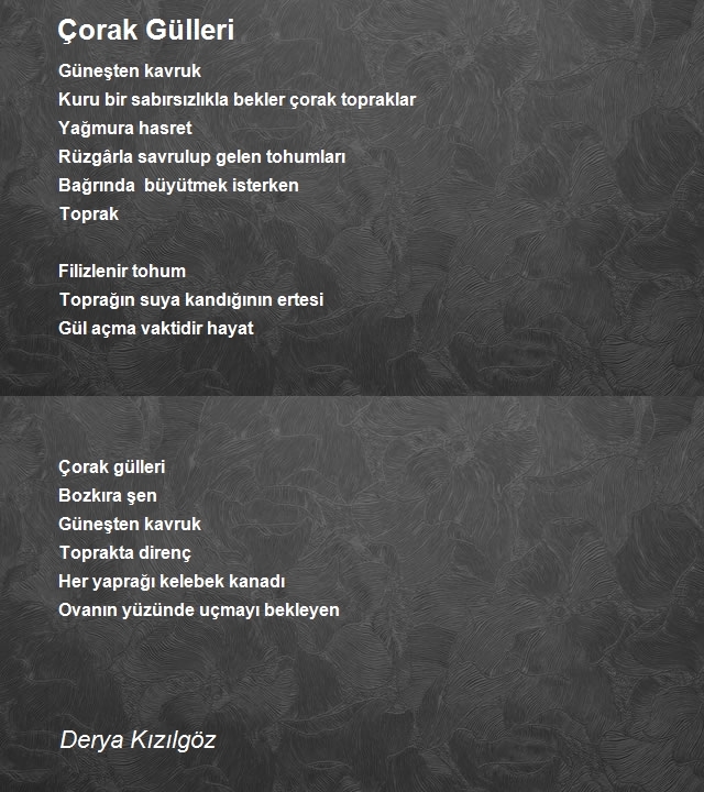 Derya Kızılgöz