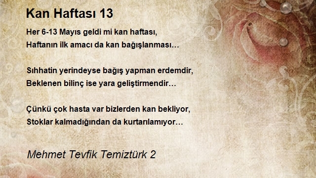 Mehmet Tevfik Temiztürk 2