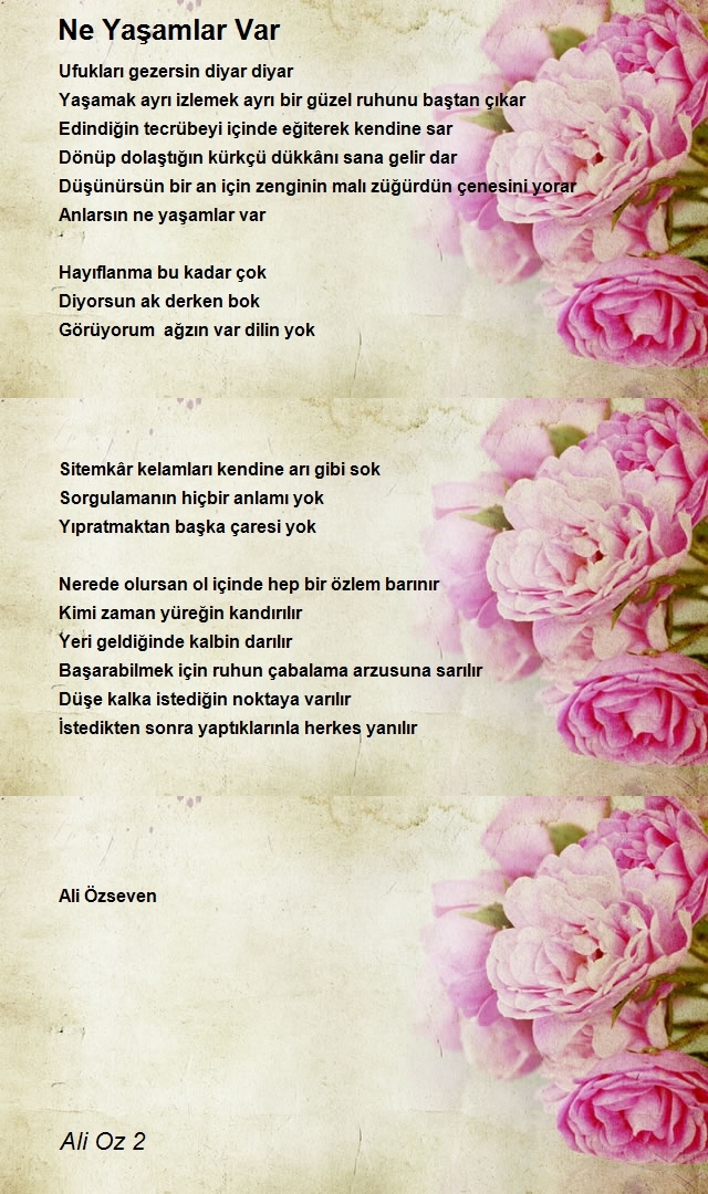 Ali Oz 2