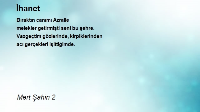 Mert Şahin 2