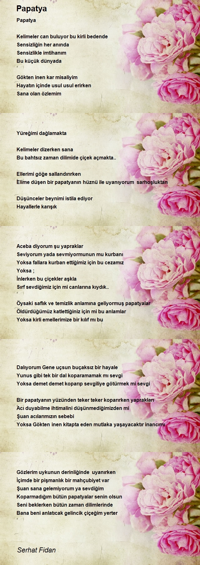 Serhat Fidan