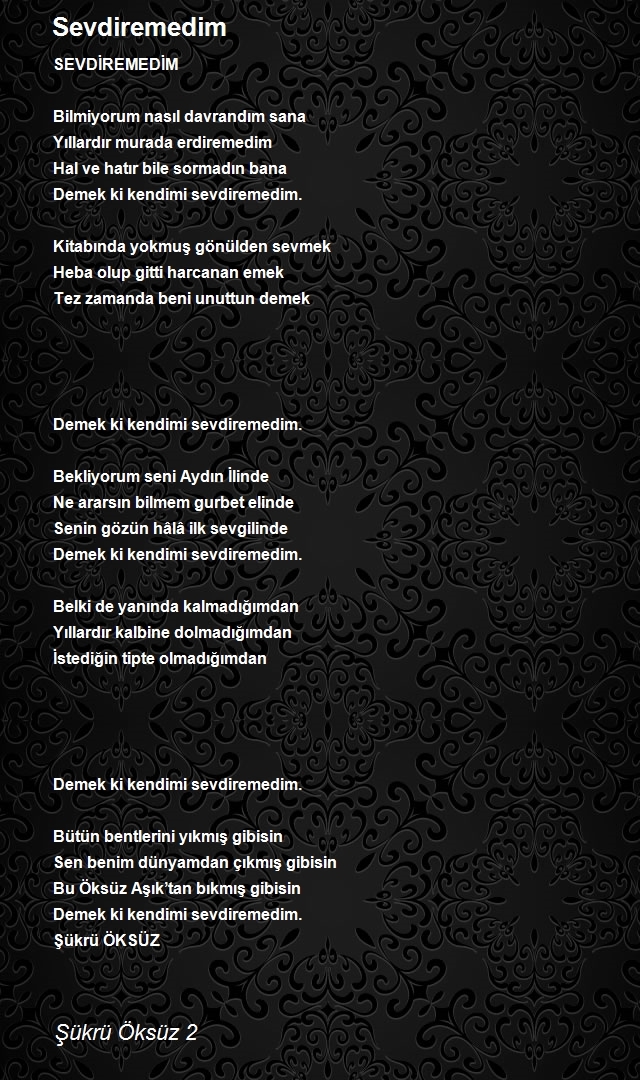 Şükrü Öksüz 2