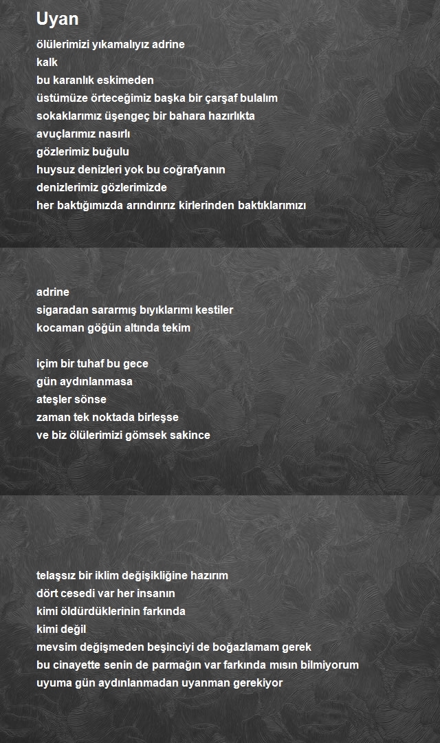 Aşıti Uzun 2