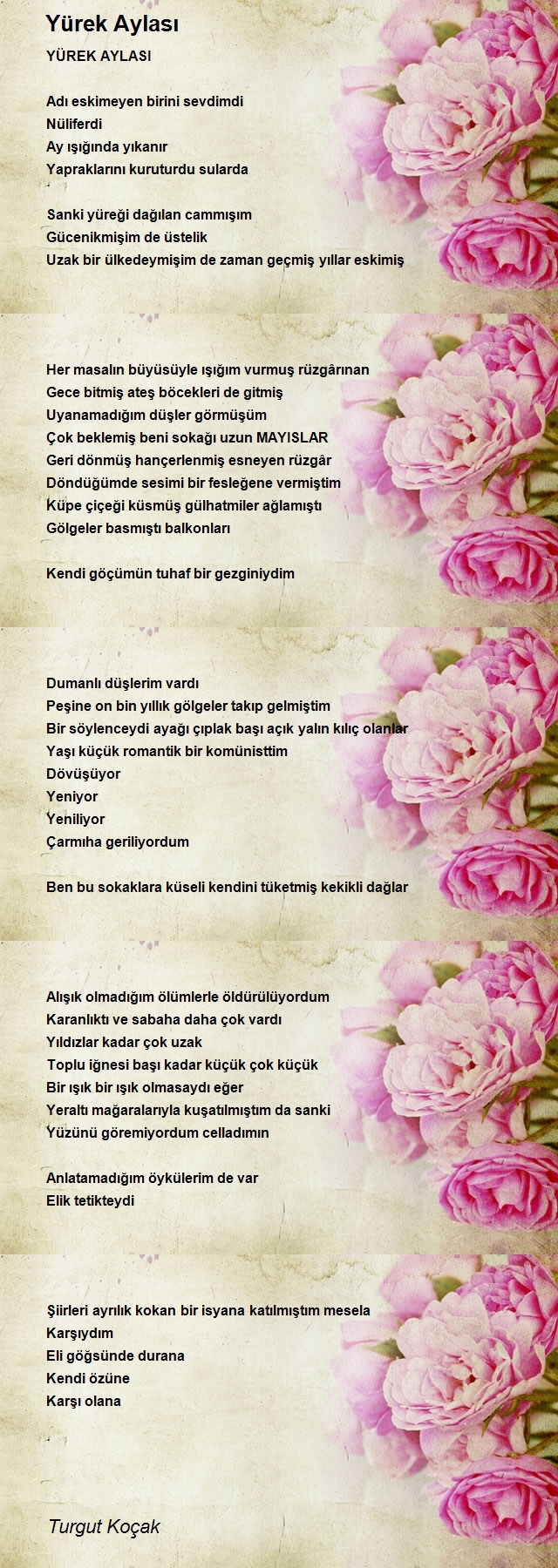 Turgut Koçak