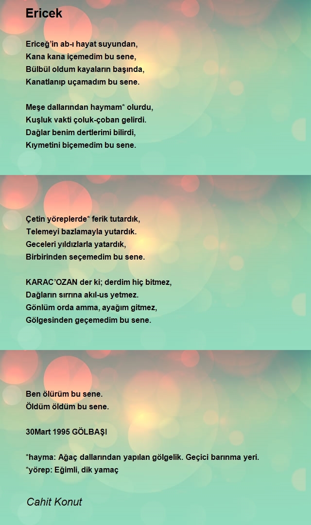 Cahit Konut
