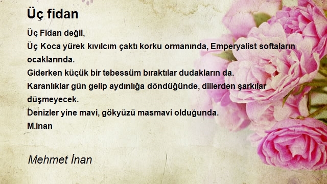 Mehmet İnan