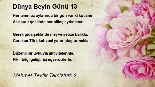 Mehmet Tevfik Temiztürk 2