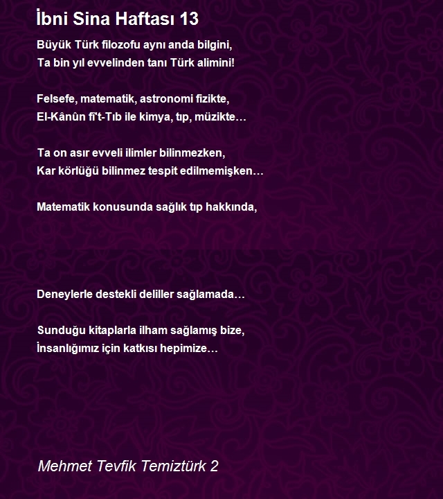 Mehmet Tevfik Temiztürk 2