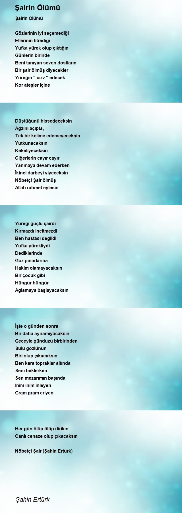 Şahin Ertürk