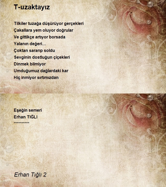 Erhan Tığlı 2