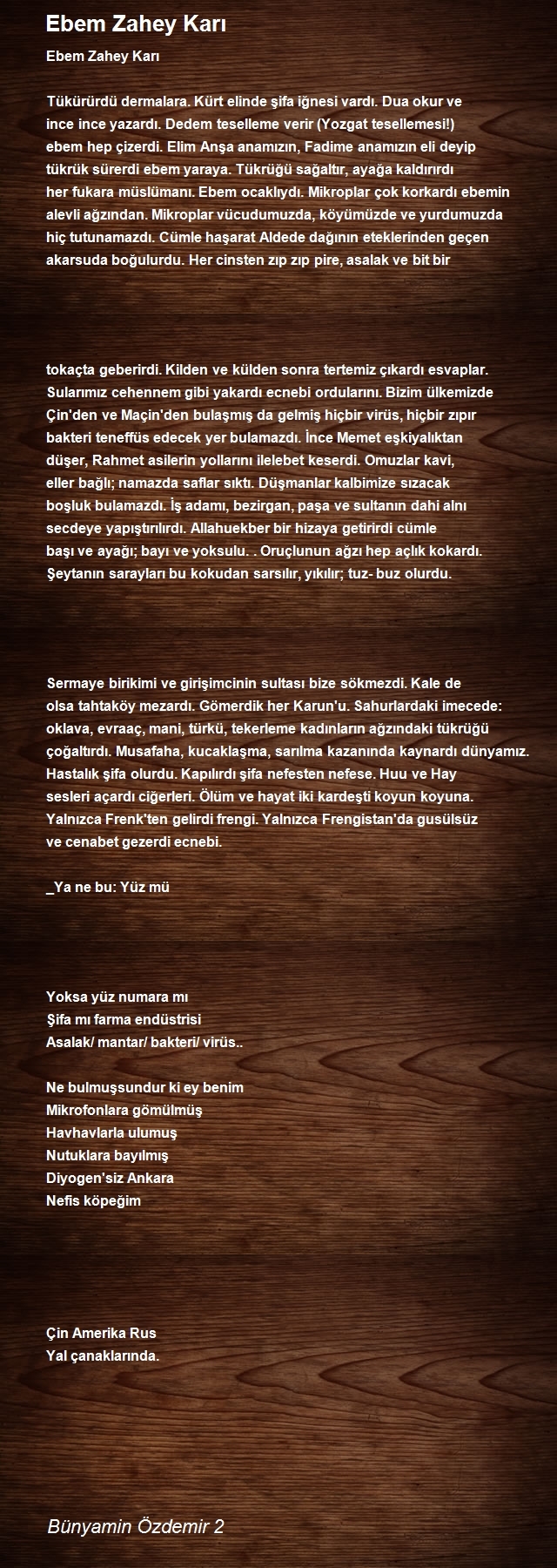 Bünyamin Özdemir 2