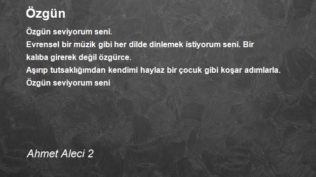 Ahmet Aleci 2
