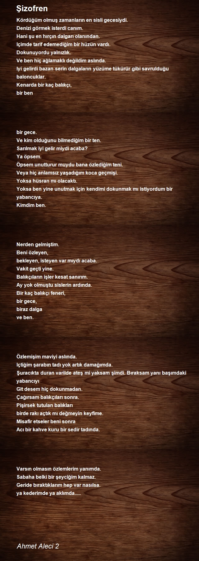 Ahmet Aleci 2