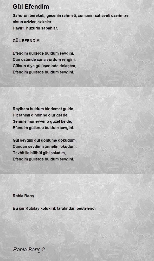 Rabia Barış 2