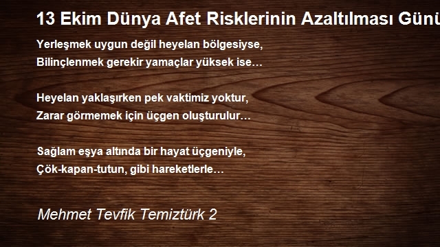 Mehmet Tevfik Temiztürk 2