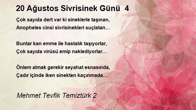Mehmet Tevfik Temiztürk 2