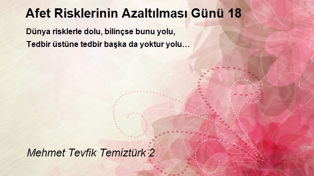 Mehmet Tevfik Temiztürk 2
