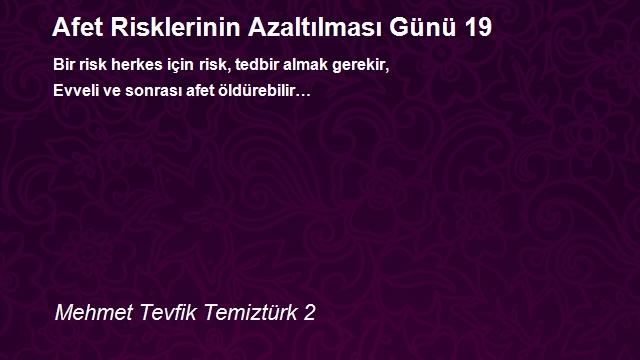 Mehmet Tevfik Temiztürk 2