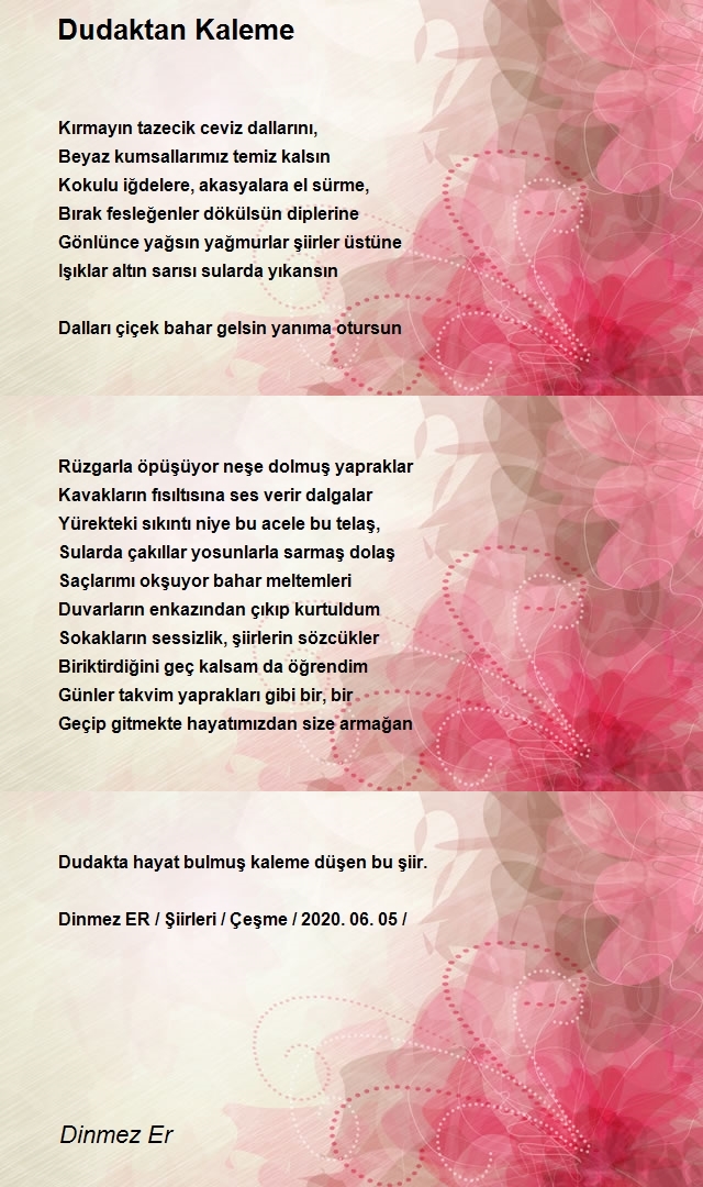 Dinmez Er
