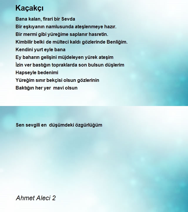 Ahmet Aleci 2
