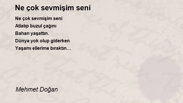Mehmet Doğan