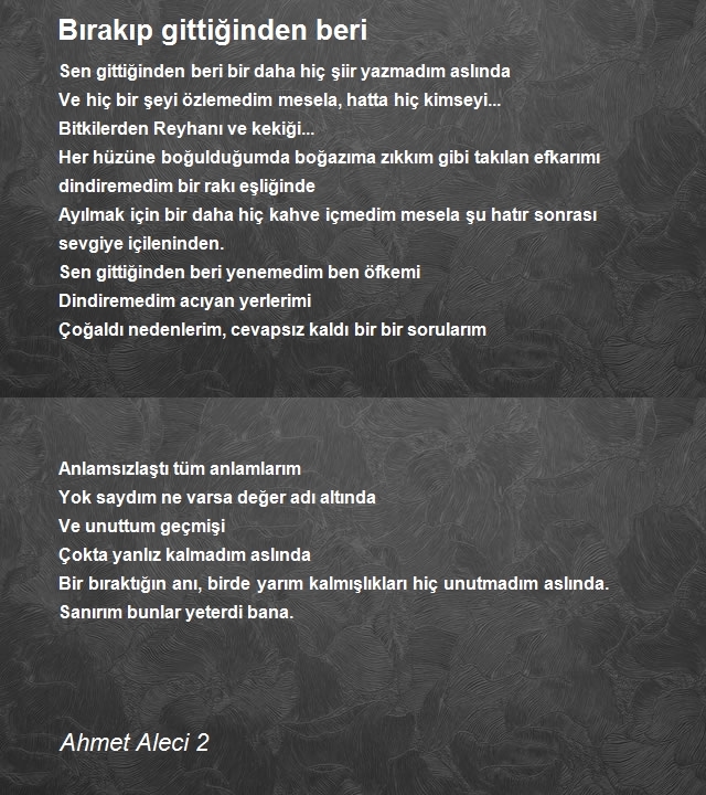 Ahmet Aleci 2