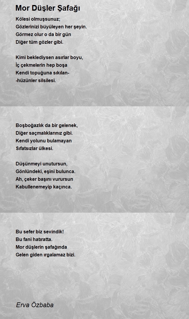 Erva Özbaba