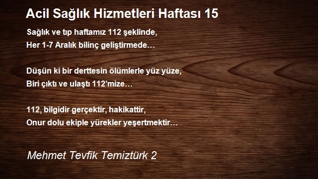 Mehmet Tevfik Temiztürk 2