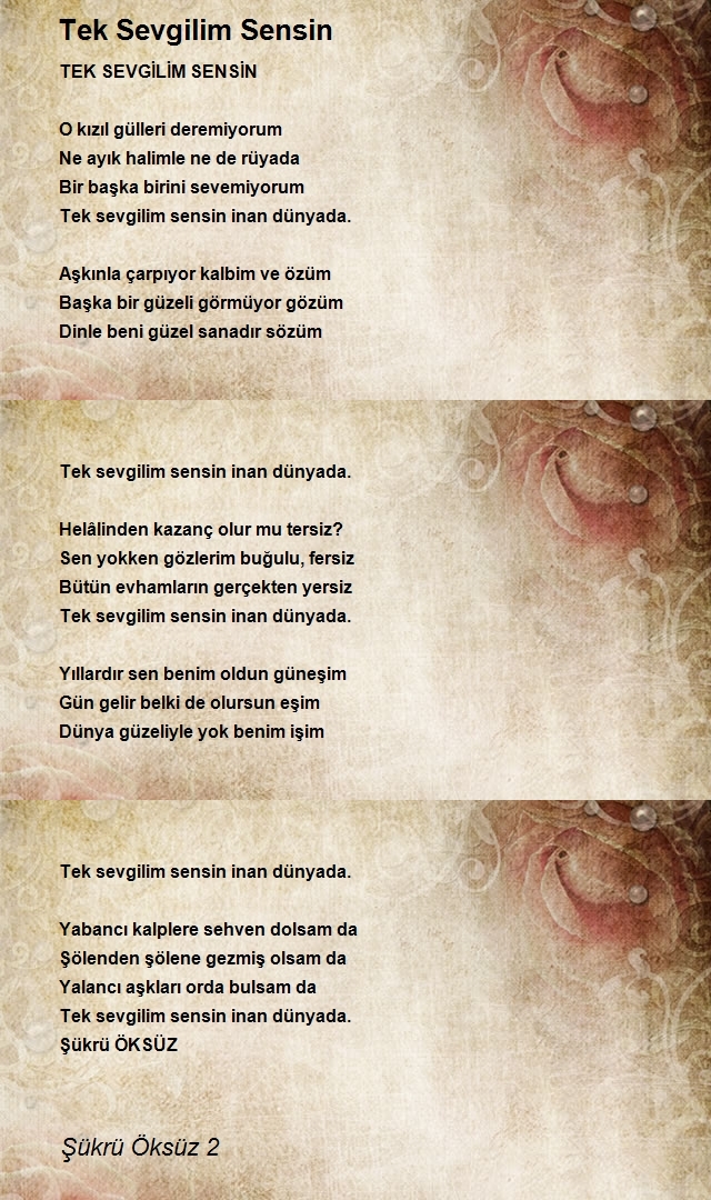 Şükrü Öksüz 2