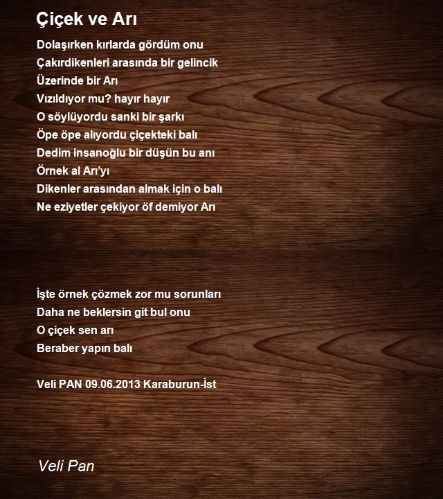 Veli Pan