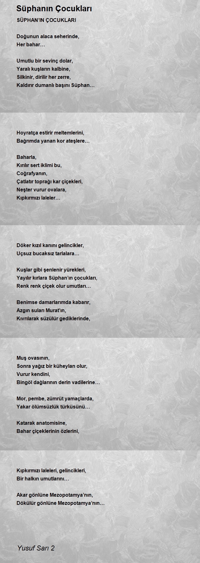 Yusuf Sarı 2