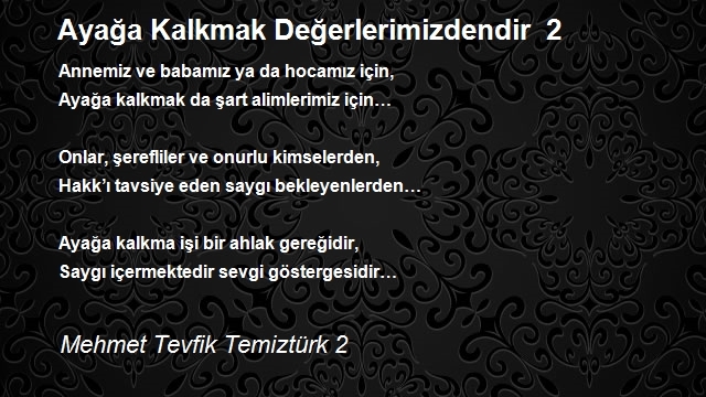 Mehmet Tevfik Temiztürk 2