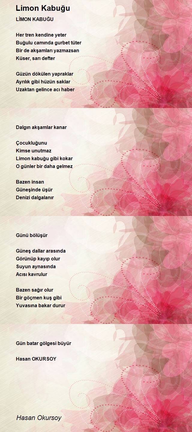 Hasan Okursoy