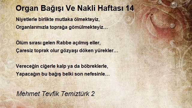Mehmet Tevfik Temiztürk 2