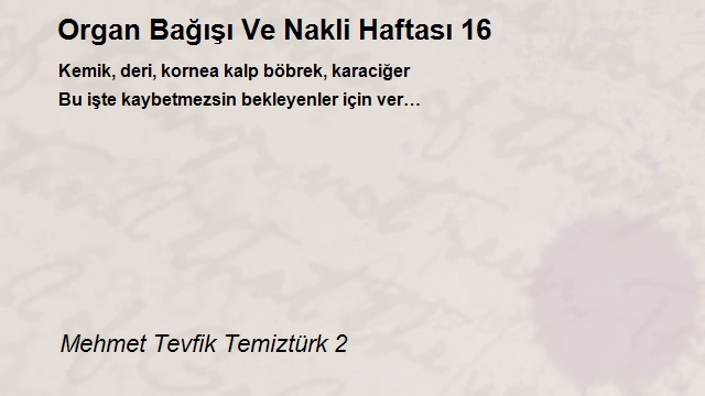 Mehmet Tevfik Temiztürk 2