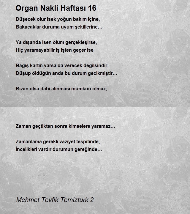 Mehmet Tevfik Temiztürk 2