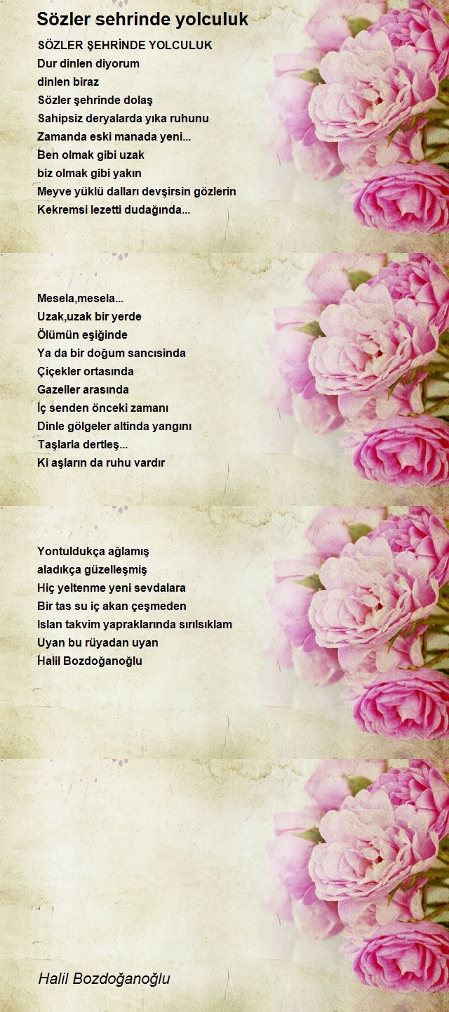 Halil Bozdoğanoğlu