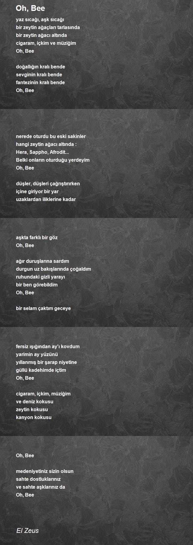 Selami Gezik 2