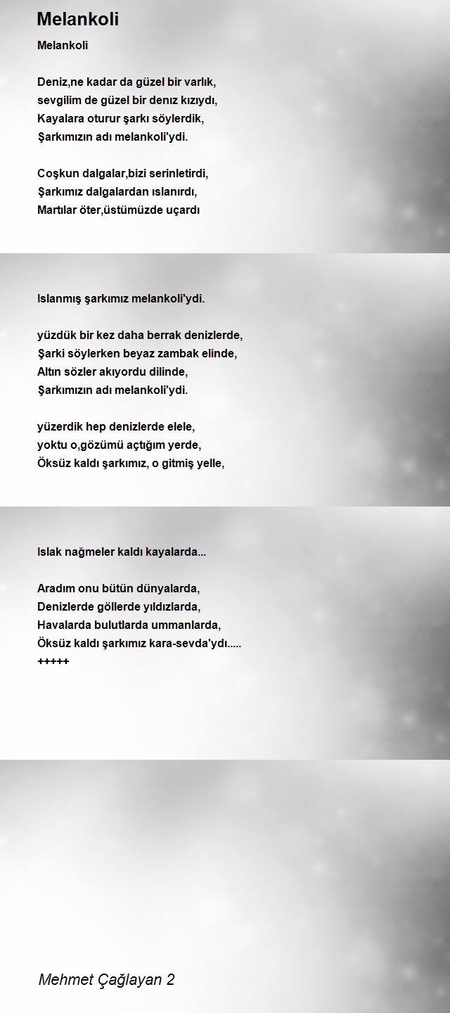 Mehmet Çağlayan 2